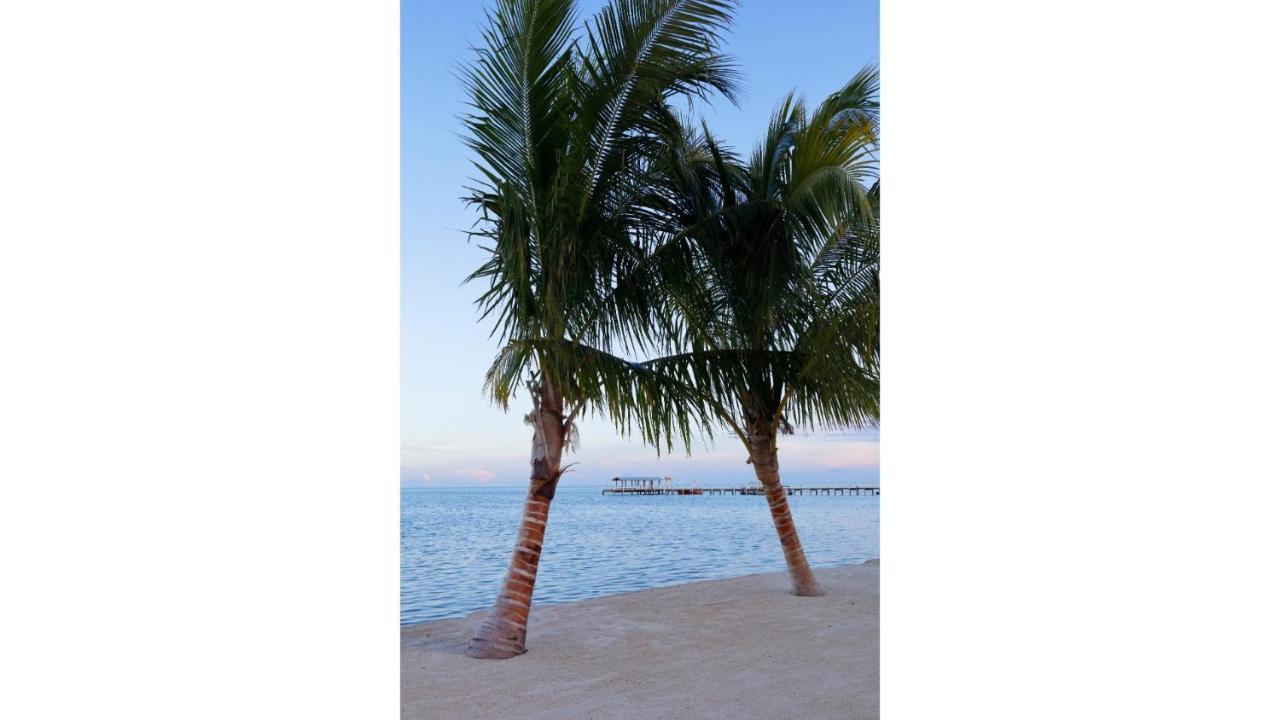 Cheeca Lodge & Spa Islamorada Kültér fotó Palm trees on the beach at the Grand Hotel